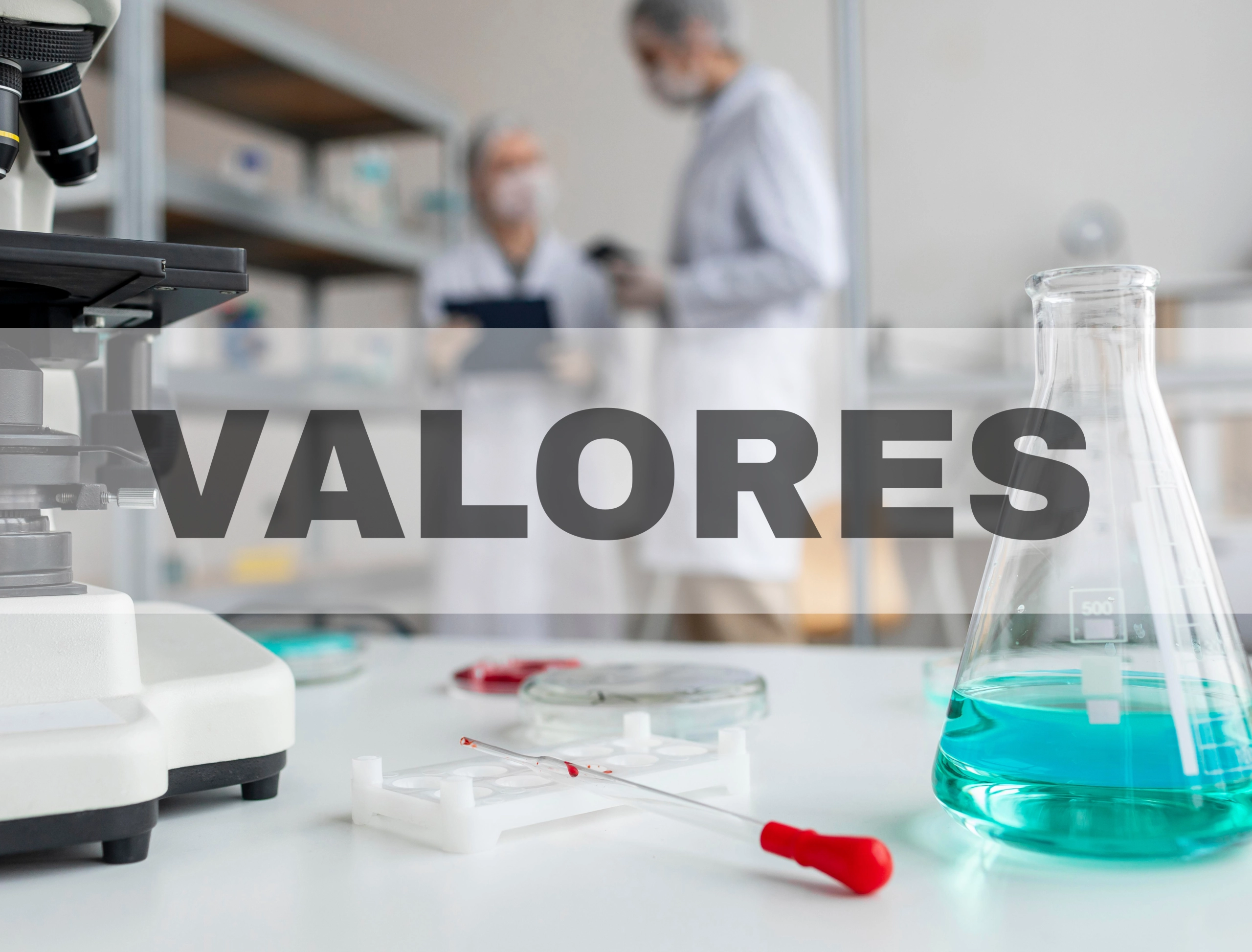 Imagen valores
